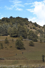 Obraz premium Hill meadow trees people walking in nature landscape on countryside slope with two figures authentic inclusive outdoor scene hiking and peaceful rural view calm atmosphere