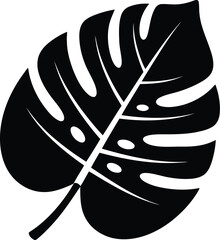 Obraz premium Black silhouette monstera leaf on transparent background, tropical plant icon for nature and exotic designs