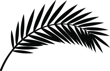 Obraz premium Black silhouette of palm tree leaf vector illustration design isolated on transparent background for exotic travels