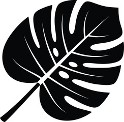 Obraz premium Detailed black monstera deliciosa leaf silhouette with holes and veins for modern botanical interior design projects