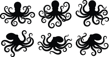 Six Black Silhouette Octopuses with Curled Tentacles on White Background Keywords: octopus, cephalopod, marine life, sea © It's Sahed