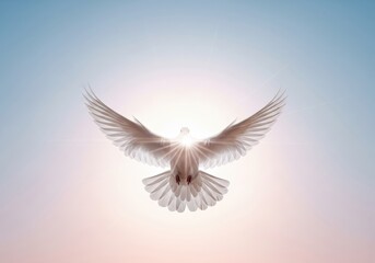 Fototapeta premium Peaceful white dove soaring with bright light, symbolizing hope and freedom against a serene sky