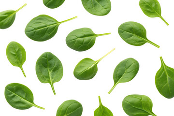 Fresh spinach leaves scattered isolated on transparent background