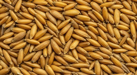 Detailed macro photograph of golden dried cereal seeds forming a dense, complex abstract pattern and intricate natural texture ,organic ,intricate ,yellow
