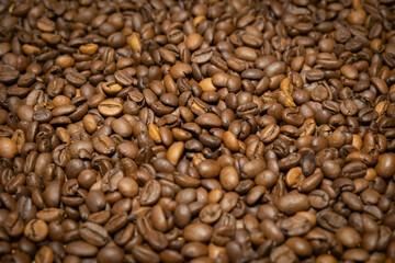 Fototapeta premium Fresh coffee beans placed on a surface ready for roasting and brewing