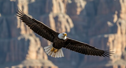 Bald eagle in full wingspan soaring over rocky canyon cliffs, ideal for illustrating wildlife strength, freedom, and nature conservation themes