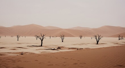 Barren desert landscape with dead trees and sand dunes under hazy sky, ideal for illustrating climate change, drought impact, and extreme arid environments