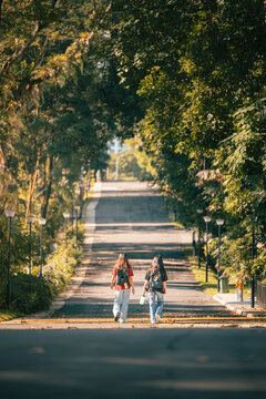 View of two figures stroll along a sun-drenched path framed by verdant trees, creating a tunnel of light and shadow, Punggol Coast Mall, Singapore.