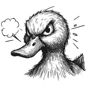 Angry duck line art drawing pen sketch vector