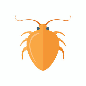 Shield Shrimp Illustration Cute Cartoon Primitive Creature Animal Isolated