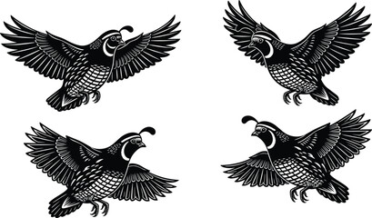 Black and white illustration of flying quails with detailed feathers and head plumes, wildlife silhouette artwork for nature, rustic, forest, and outdoor-themed designs. © MdHarunur