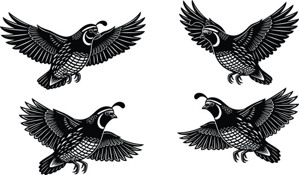 Black and white illustration of flying quails with detailed feathers and head plumes, wildlife silhouette artwork for nature, rustic, forest, and outdoor-themed designs.