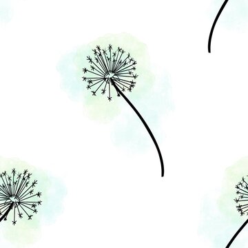 dandelion