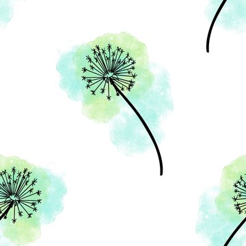 dandelion on blue background