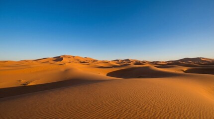 Vast rippled sand dunes stretch across a dramatic desert landscape bathed in warm evening sunlight beneath a clear deep blue sky.
