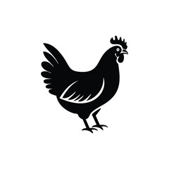 Obraz premium Rooster Chicken Icon – Farm Animal Poultry Silhouette Illustration