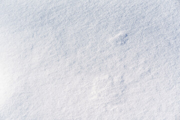 Closeup Of Frosty Snow Edges Under Soft Daylight Illumination