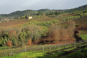 Winter Slopes of Ribeiro