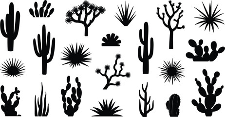Assortment of Black Silhouette Desert Cacti and Succulents Keywords: cactus, succulent, desert, plant, nature, silhouette, black © MdShahin