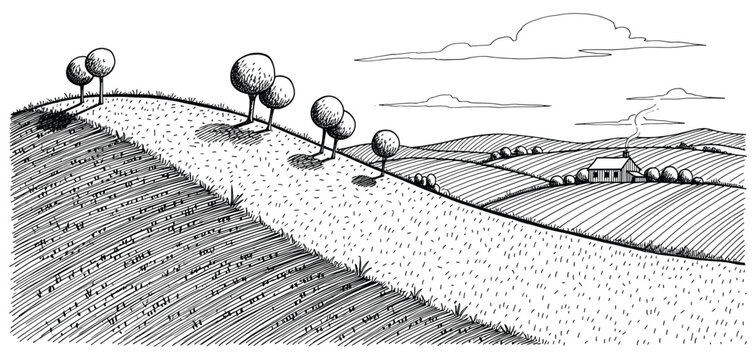 Country road through fields with farmhouse vector illustration hand drawn linear landscape design