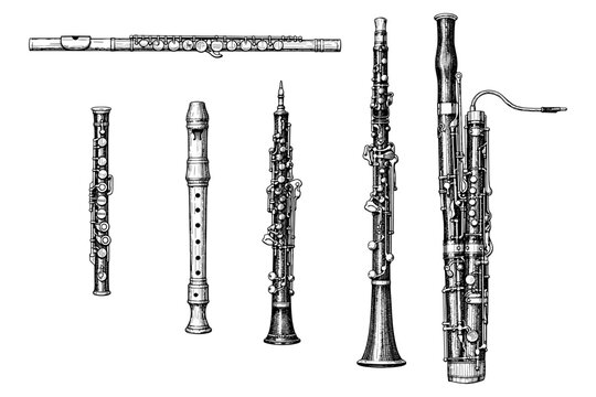 Vintage wind instruments collection: flute, recorder, oboe, clarinet, bassoon sketch