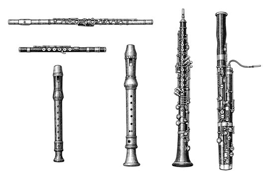 Detailed vintage woodwind instruments illustrations: flute, recorder, oboe, bassoon collection