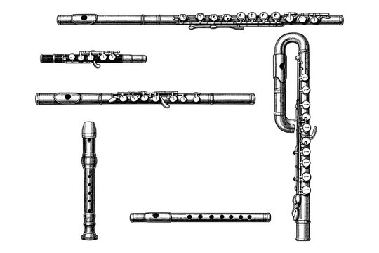 Collection of diverse woodwind instruments: recorder, piccolo, flute, bass flute