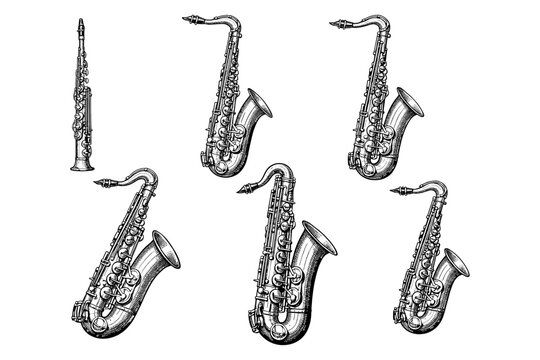 Collection of detailed saxophone illustrations in various styles