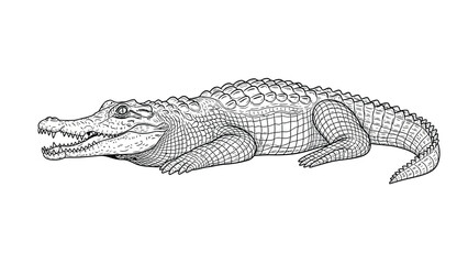 Fototapeta premium Black and white illustration of a crocodile lying down. It features detailed scales, a textured body, and an open mouth, conveying a calm demeanor.