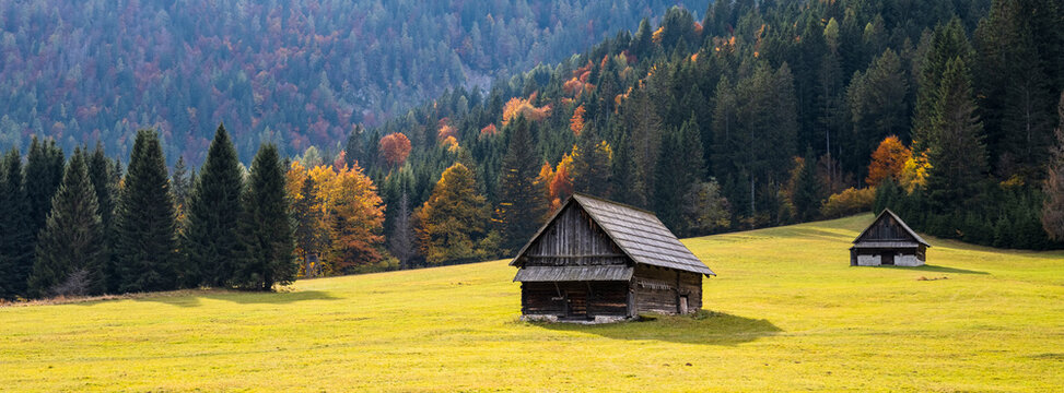 Two wooden huts stand in a golden meadow, backed by a forest with autumn colors. Bartolo Valley,Tarvisio,Friuli Venezia Giulia,Italy