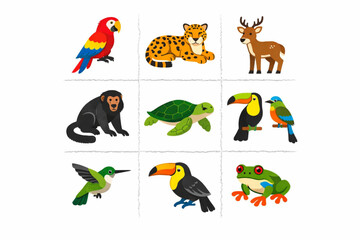 Obraz premium Honduran Rainforest Wildlife Illustration