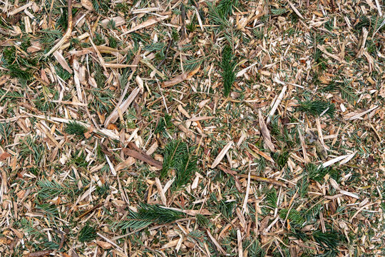 A pile of wood chips and twigs on the ground