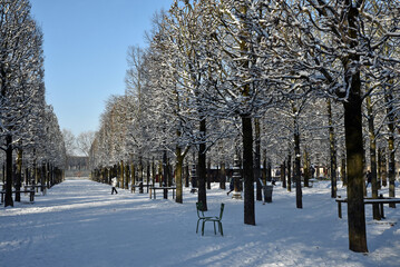 Fototapeta premium Temps&nbsp;de neige au Jardin des Tuileries en hiver à Paris