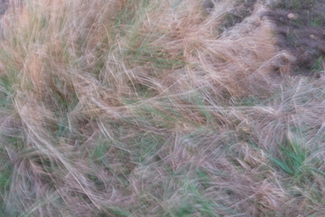 Obraz premium A blurry image of a field with grass and dirt