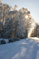 Winter landscape in the Suwałki Region in Poland