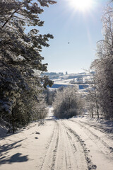 Winter landscape in the Suwałki Region in Poland