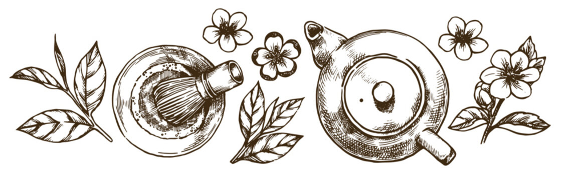 A set of elements of matcha tea. Vector illustration in sketch style.