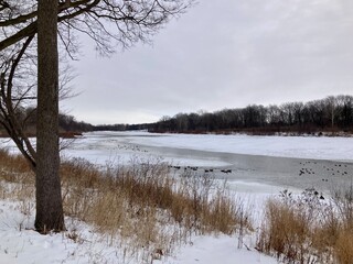 winter landscape with river