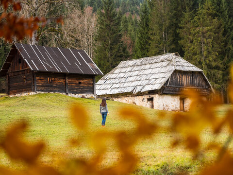 A woman walks toward two old wooden houses in a grassy field, framed by autumn leaves. Bartolo Valley,Tarvisio,Friuli Venezia Giulia,Italy