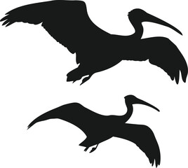 Vulture silhouettes, Vulture outline, Vulture bird, Flying vulture, Perched vulture, Landing vulture, Vulture set, Bird silhouettes,