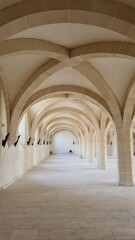 Obraz premium Belle perspective des voûtes du réfectoire/cellier du bâtiment des Convers de l'abbaye de Clairvaux (Champagne, France)