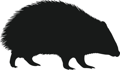 Hedgehog silhouette, Hedgehog outline, Hedgehog shape, Hedgehog icon, Hedgehog animal, Hedgehog graphic, Hedgehog figure, Cute hedgehog, Baby hedgehog,  Forest animal, 