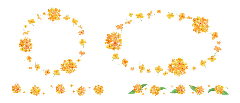 Watercolor fragrant orange osmanthus floral frames and lines set High quality	-300dpi-	