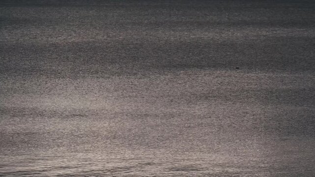 鈍く光る水面と湖畔の雪景色
