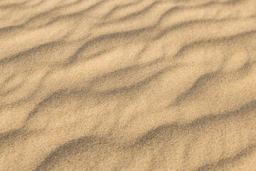 Fototapeta premium Artistic peaceful golden sand texture tranquil natural wall art background, relax gold pastel sandy abstract dunes wallpaper luxury minimal decor. Beautiful nature sunny closeup view summer beach