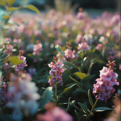 Vibrant pink flowers blooming in a lush garden