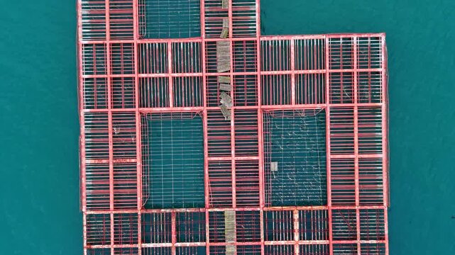 A worker is seen on a mussel farm in the sea, walking on racks that hold mussels under the bright sun. The layout includes rows of wire and wooden structures for cultivation.