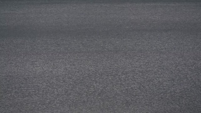 鈍く光る水面と湖畔の雪景色