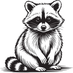 Detailed black and white ink drawing of a raccoon sitting upright with a striped tail visible © John