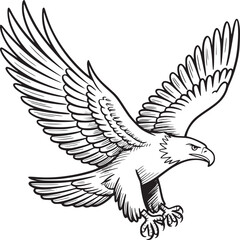 Fototapeta premium Majestic bald eagle flying vector illustration, powerful predatory bird with spread wings, black and white eagle line art mascot for sports logos